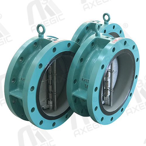 Dual Plate Check Valve Manufacturer in India