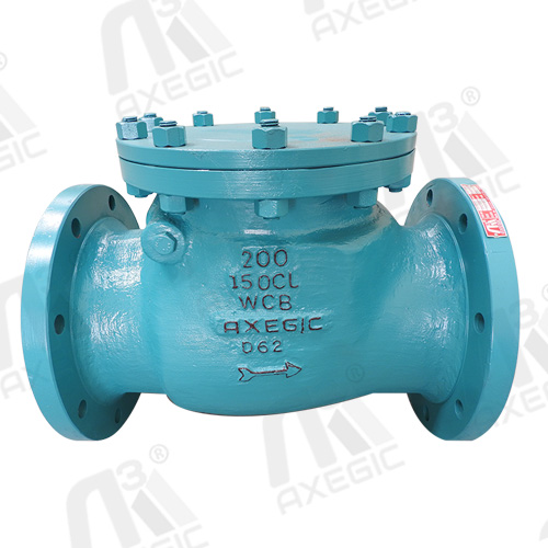 Swing Check Valve Suppliers in South Africa
