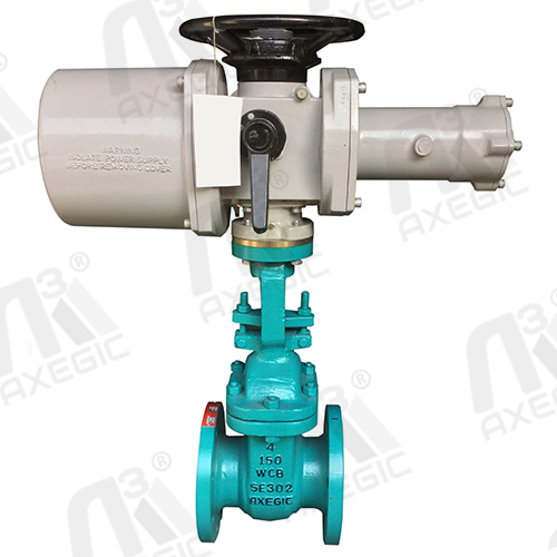 Jacketed Type Gate Valve Manufacturer in India