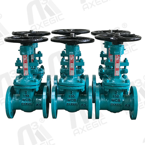 Jacketed Type Gate Valve Exporter in Iraq