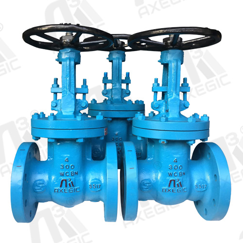 Flanged End Gate Valve Exporter in India