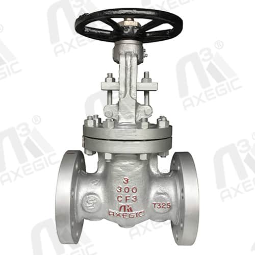 Butt Weld End Gate Valve Exporter in Ahmedabad