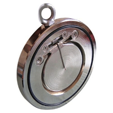 Spring Loaded Check Valves at Best Price In India